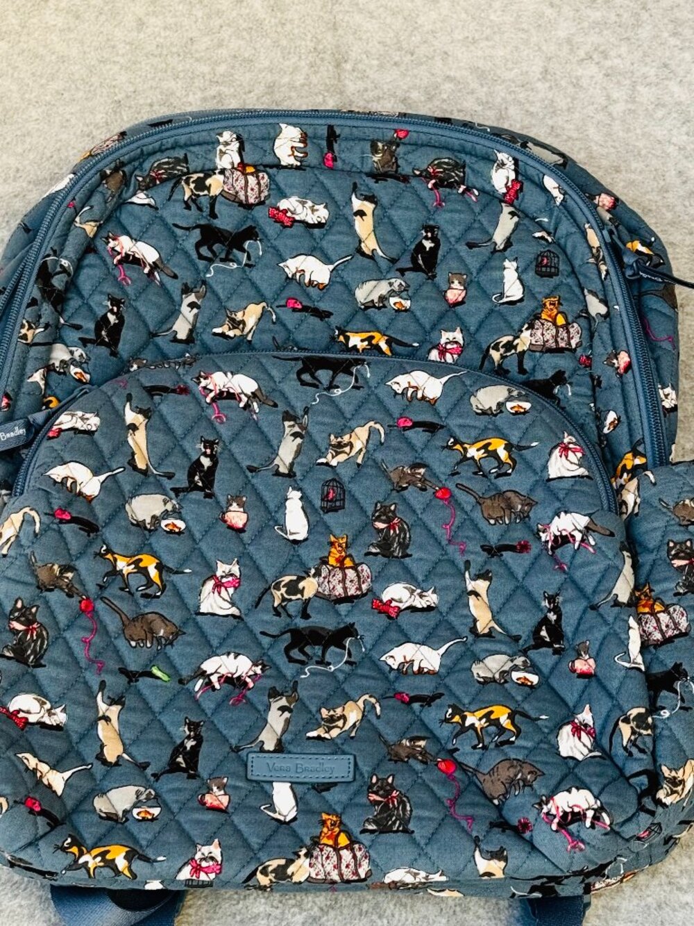 Vera Bradley Essential Large Backpack Blue Cat's Meow Zipper NWT Rear Strap